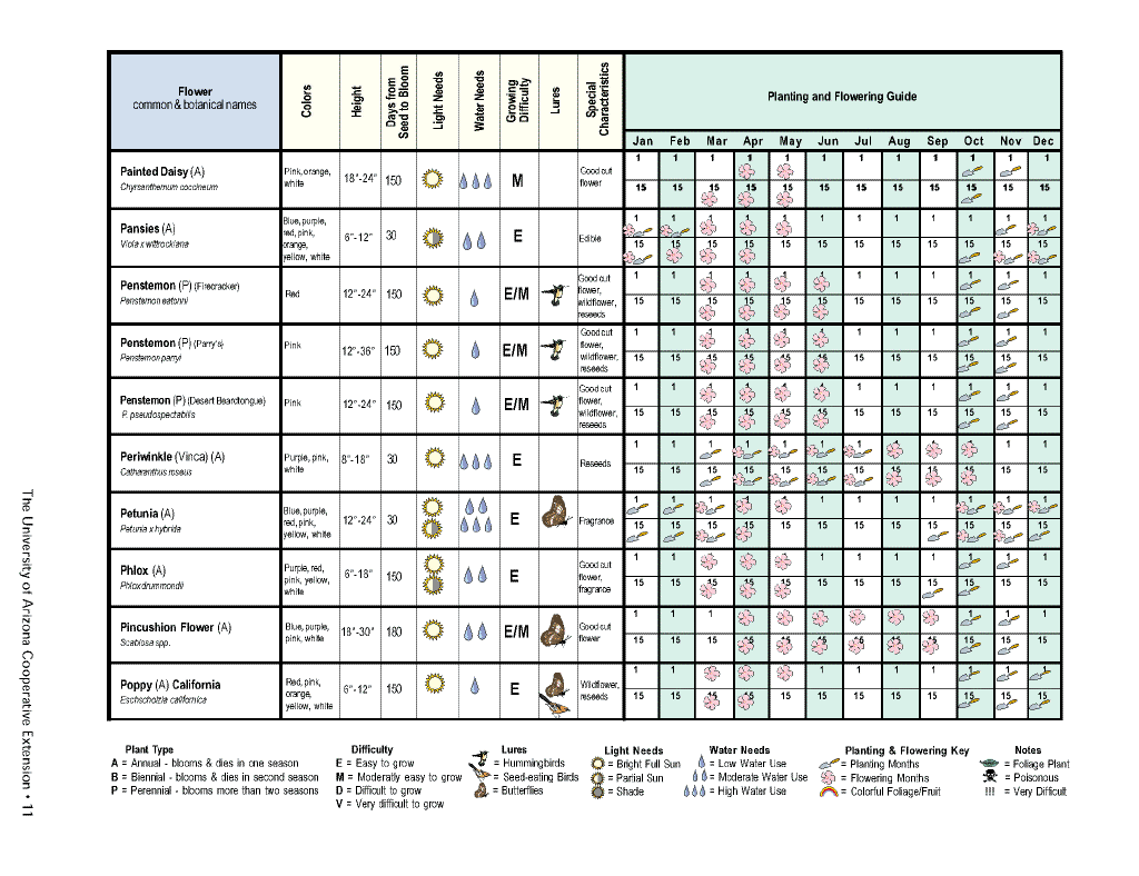 Flower planting calendar11